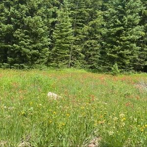 Meet your Posher, Frida